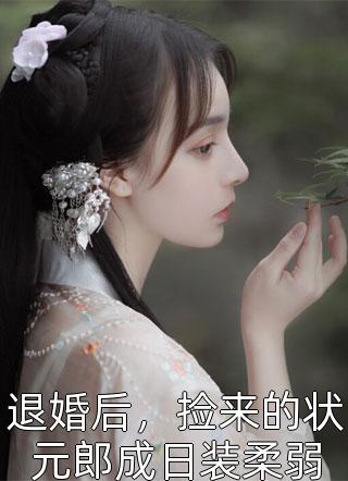 惊世狂婿