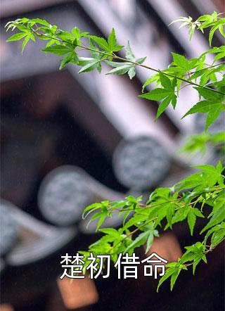 变成数据搞人心态